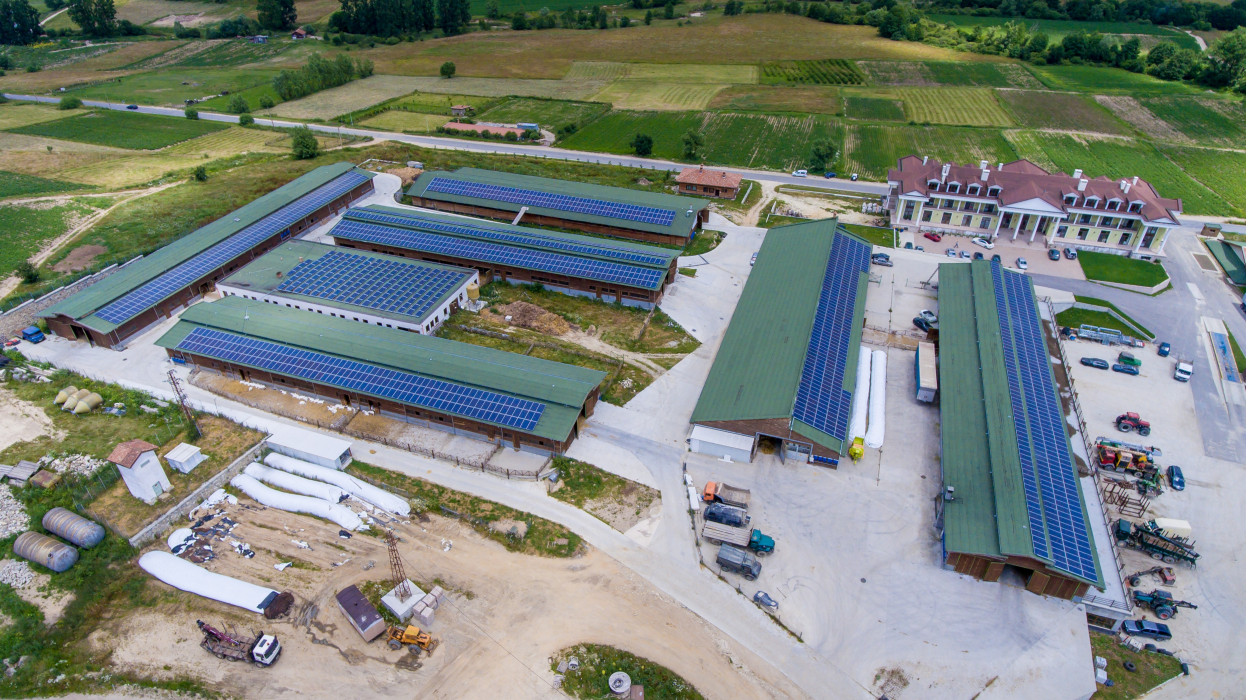 Копривщица 